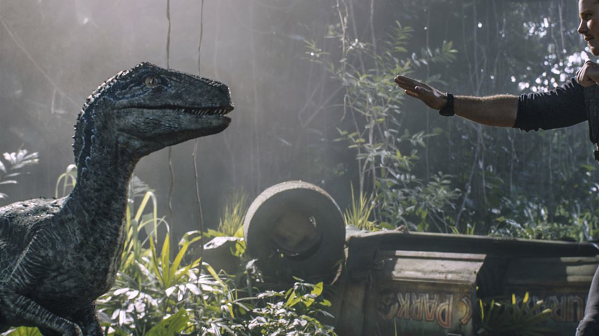 ASicilia Reel2019 Extra Long version