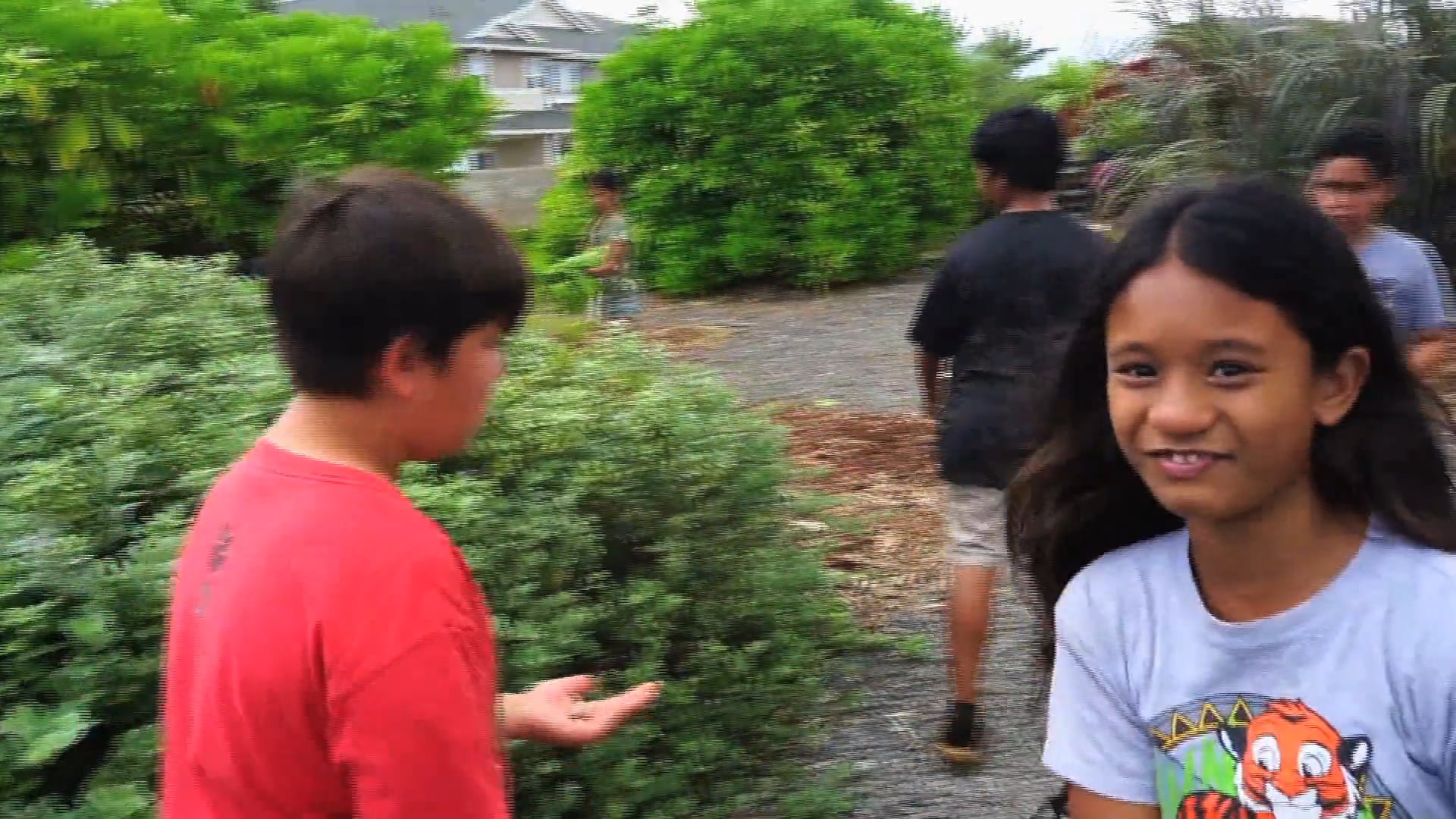 Coconut Rhinoceros Beetle Education at Keone`ula Elementary School