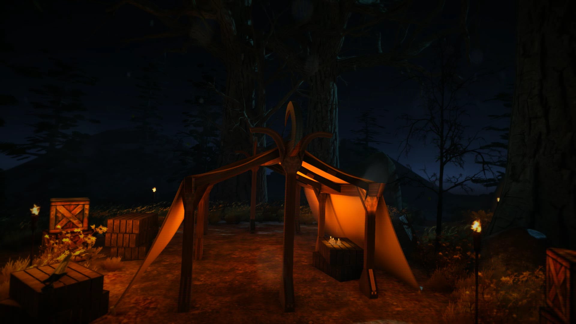 Night Camp