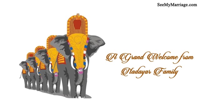 One & Only Partner – White Theme Traditional Cute South Indian Cartoon  Couple Theme With Elephants Animated Wedding Invitation | ID: 11465 –  SeeMyMarriage