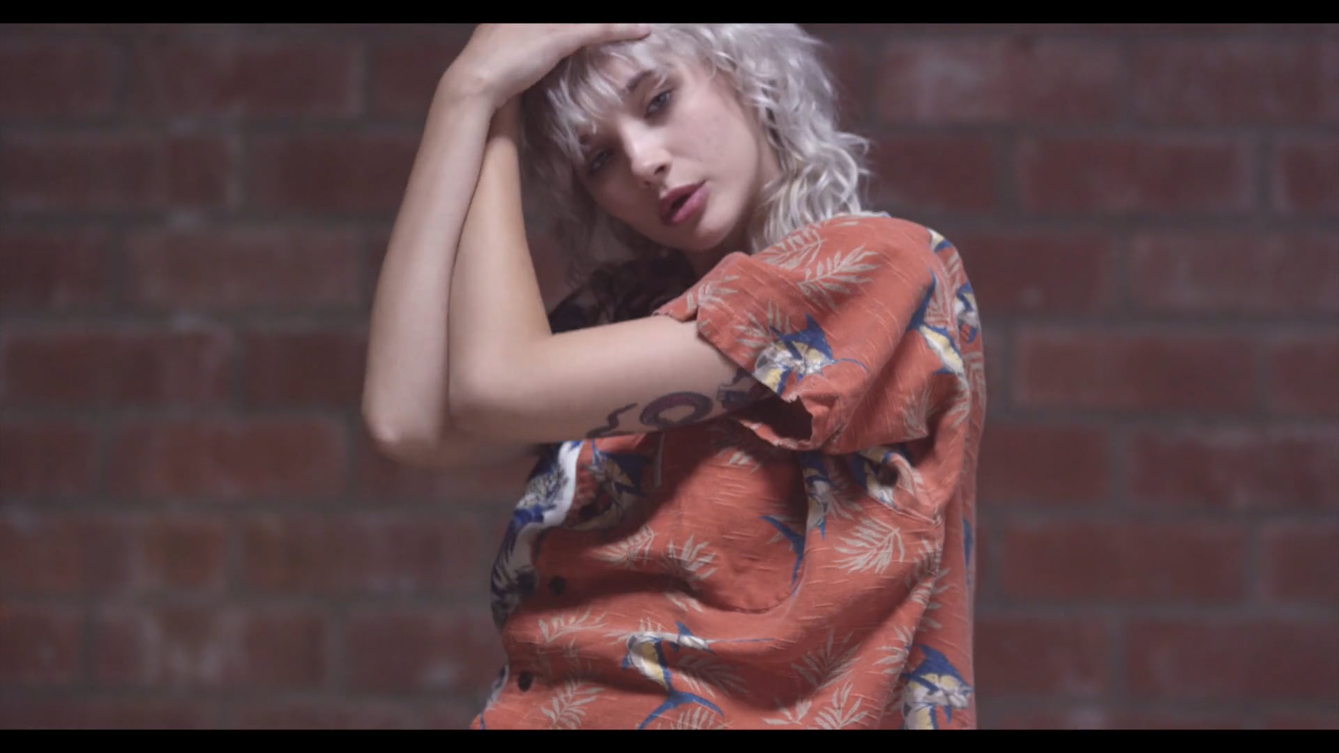 VS LA Wearhouse Collection