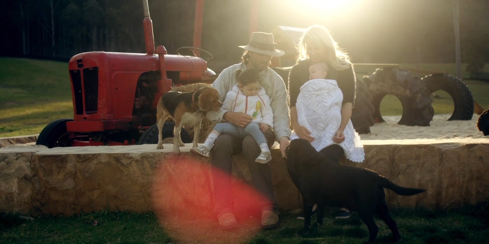 Luke's Story - Doggy Daycare Farm Trips