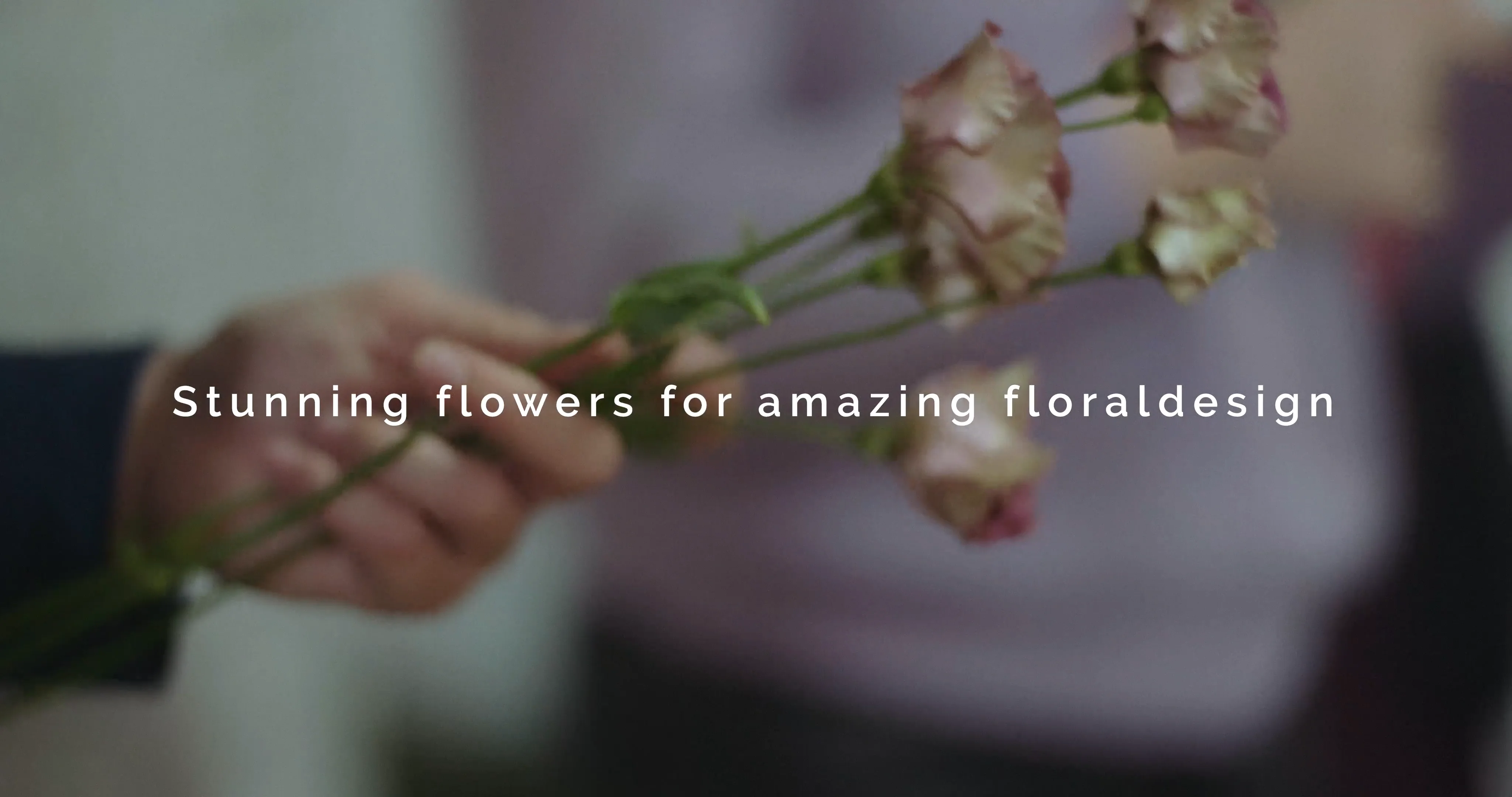 Stunning flowers for amazing floral design on Vimeo