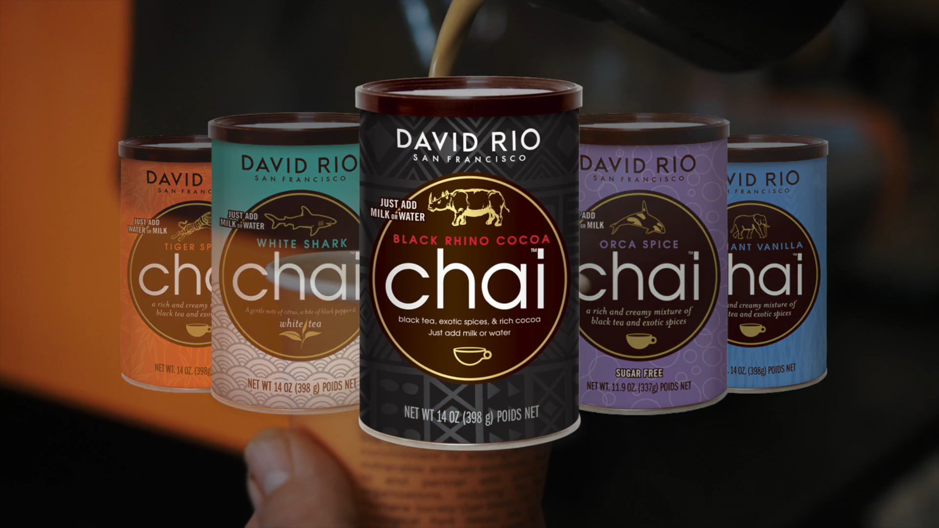 Black Rhino | David Rio