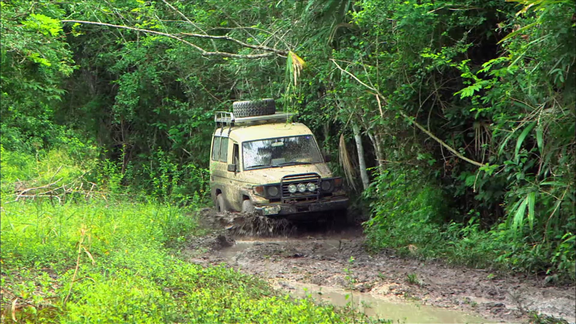 Journey to Tikal