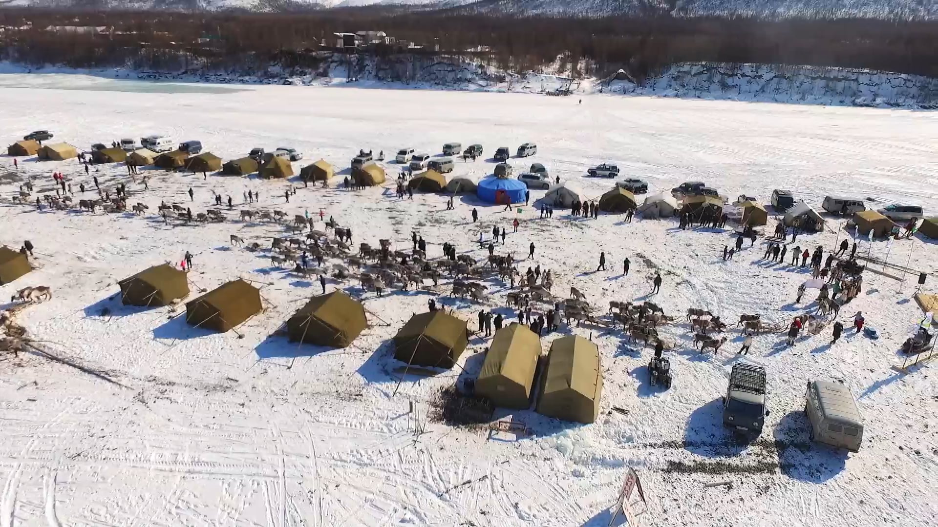 Reindeer Festival