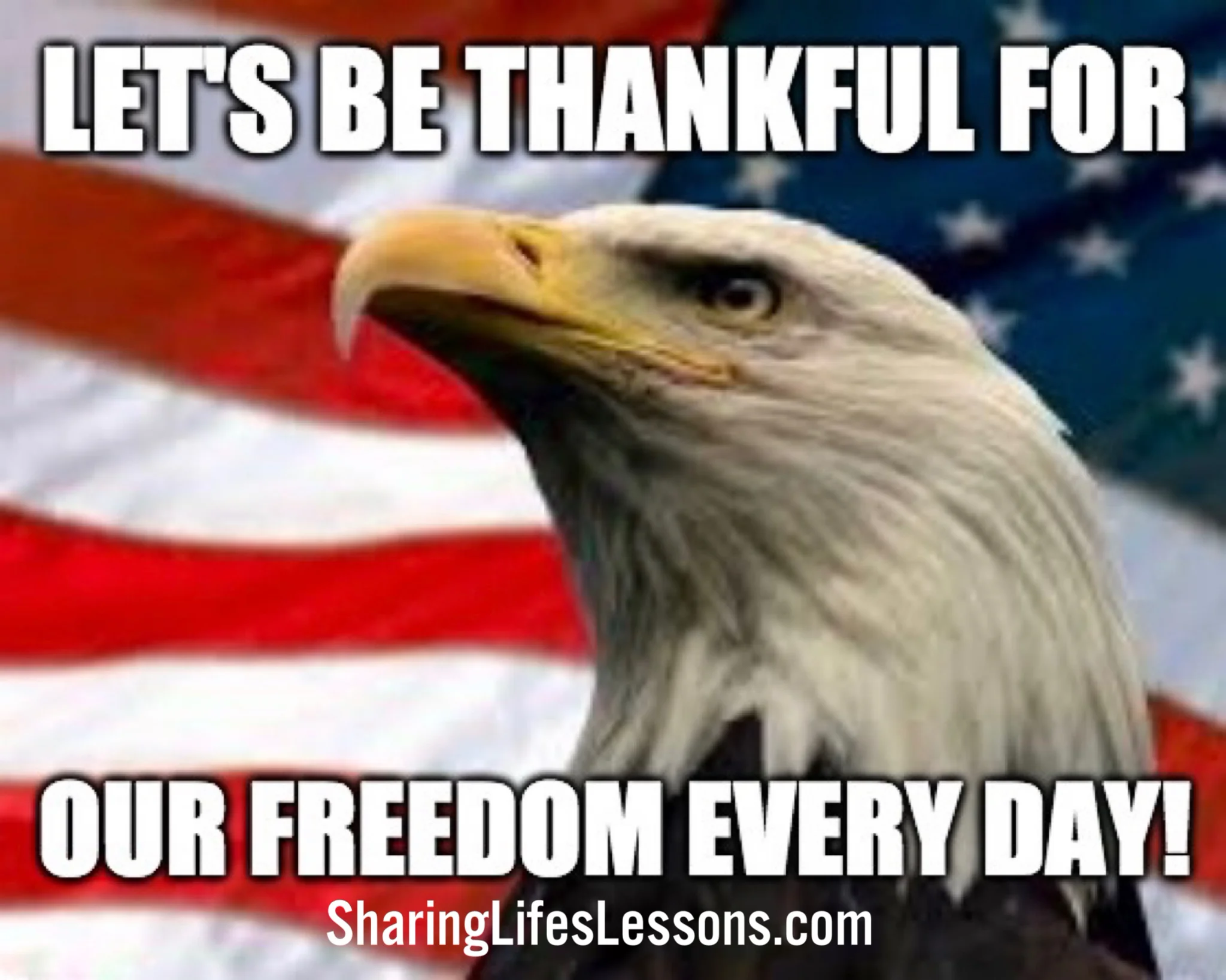 Let's be thankful for our freedom every year! on Vimeo