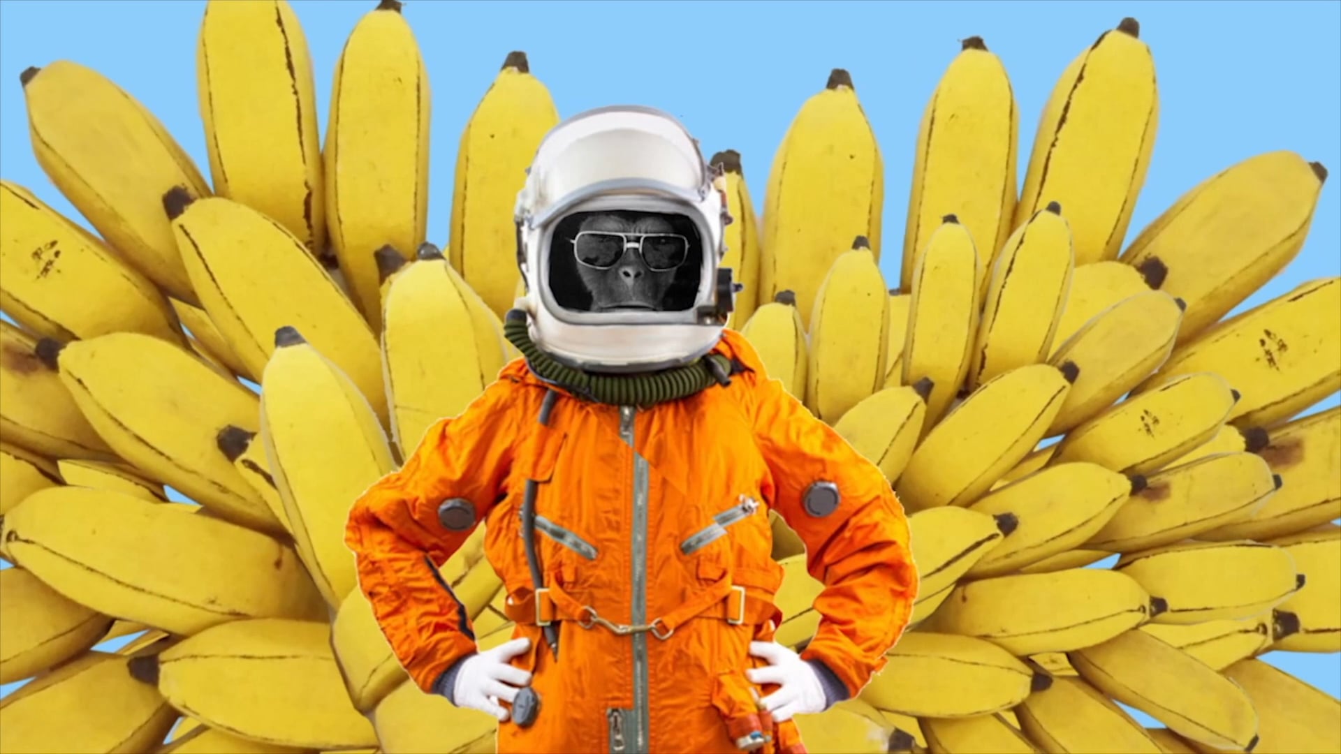 UTOPIA BRASIL | Abertura