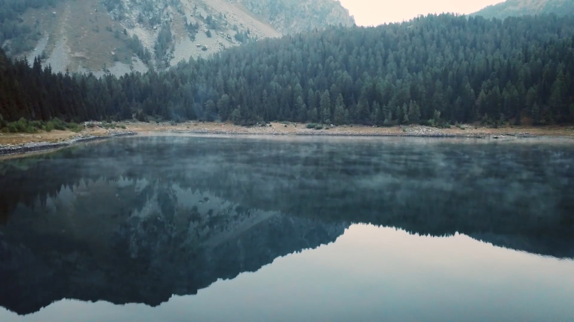 The Forager - Documentary Teaser