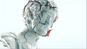 Russmedia - Customer Success Story