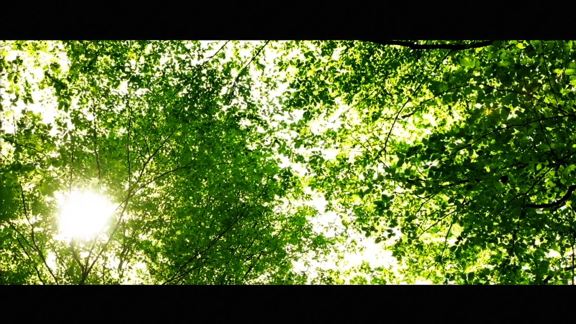 Destination Campbell River - Welcome to the Wild