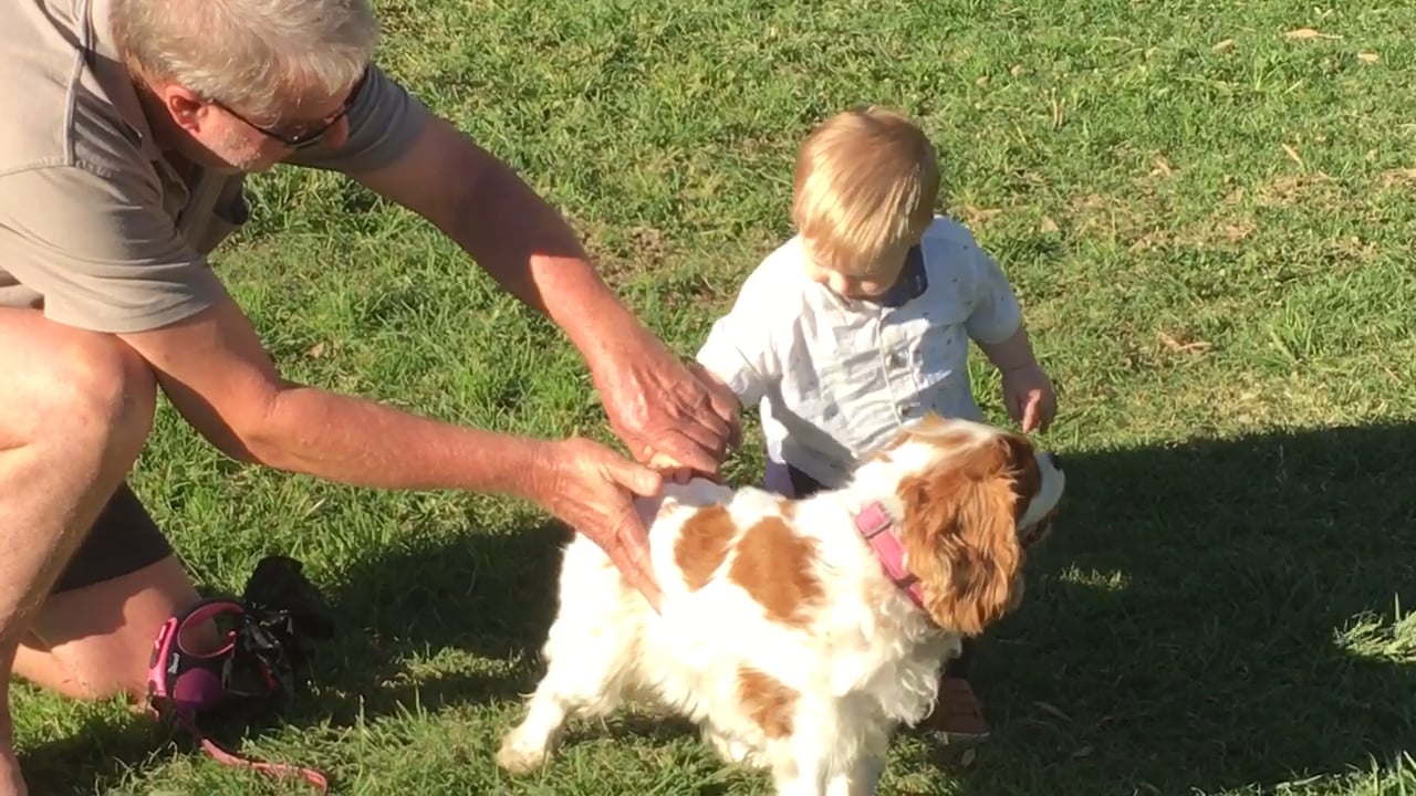 David pats his first dog on Vimeo