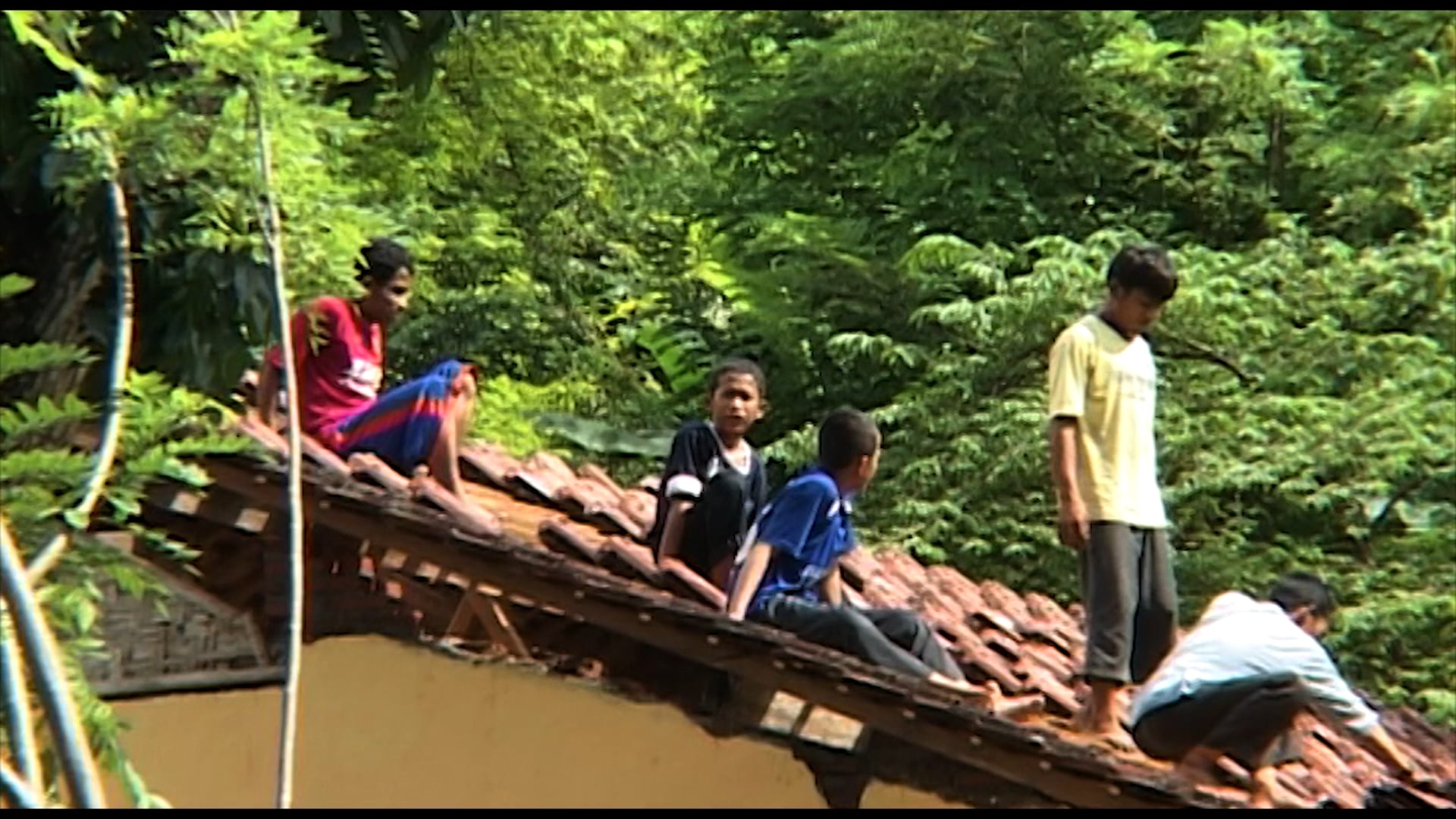 Bunga Matahari (les tournesols) Trailer