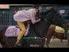 Fernet Branca "Horse Race"