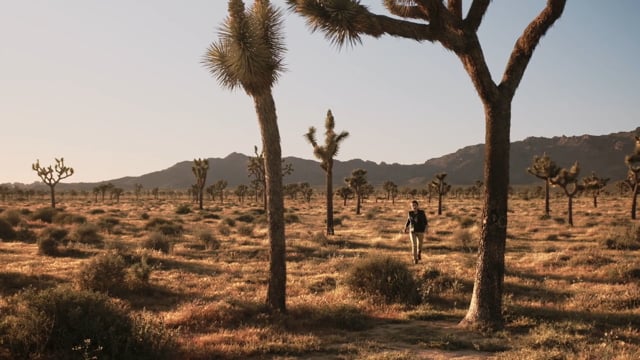 California story, Joshua Tree, with stylist Maria Medvedeva