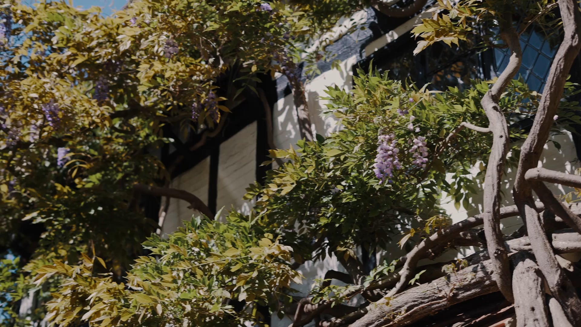 Loni Lincoln | Ridge Farm Yoga Retreat 2019