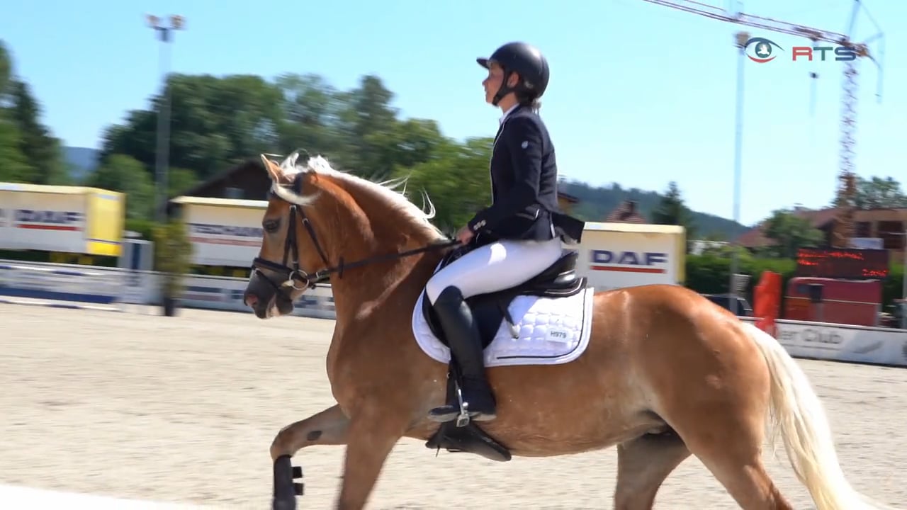 noriker-und-haflinger-zeigen-dressur-und-sprungkuenste-im-reitzentrum-sighartstein-in-neumarkt