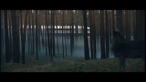DB Umwelt
