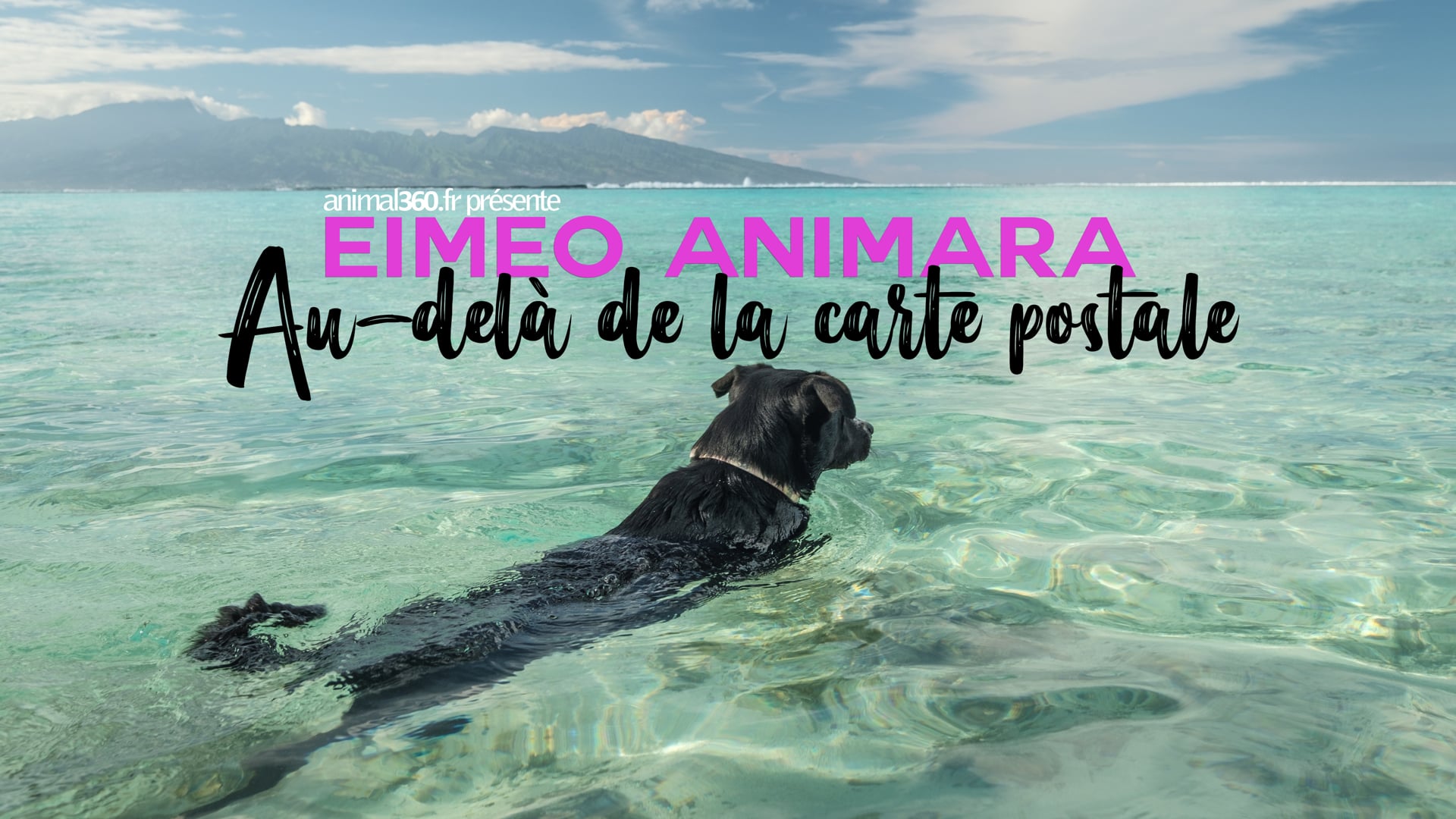 Eimeo Animara, beyond the postcard