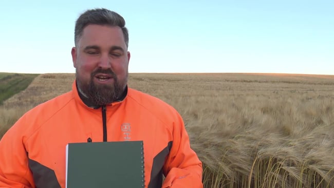 Schnellstartanleitung System Mauser 98