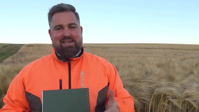 Gewehrständer Situation