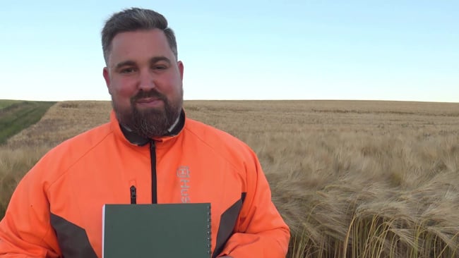 Waffenschrank Situation