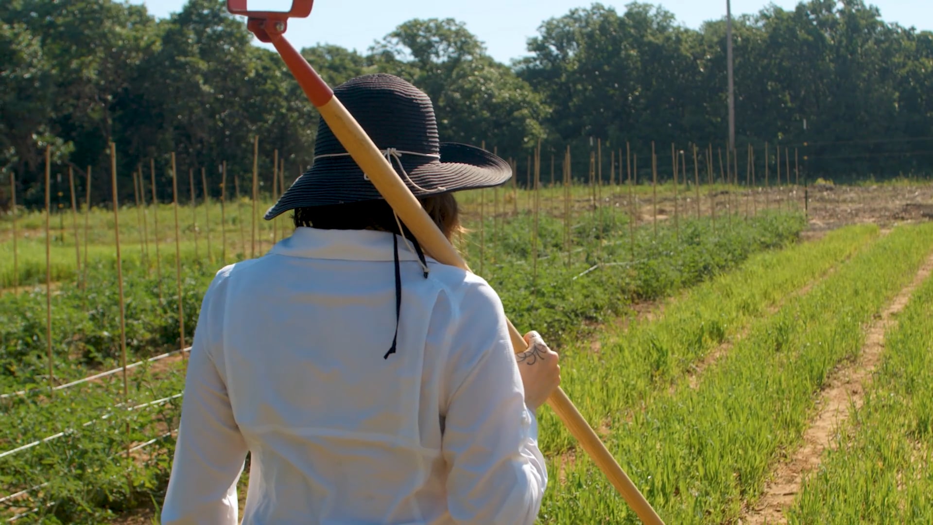 Yarrowfarms_silentbroll