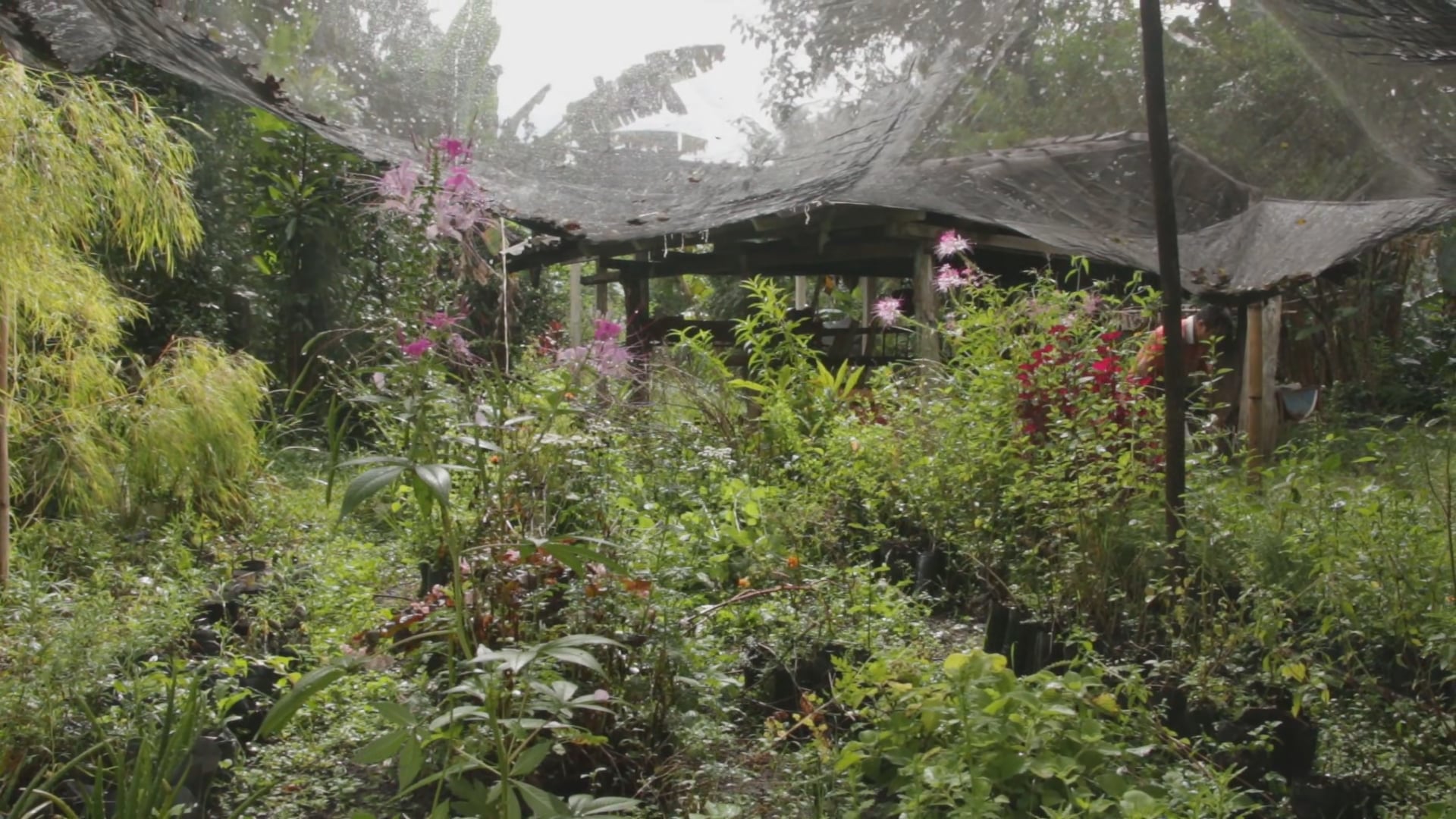 Inana - Escuela de Abejas Nativas