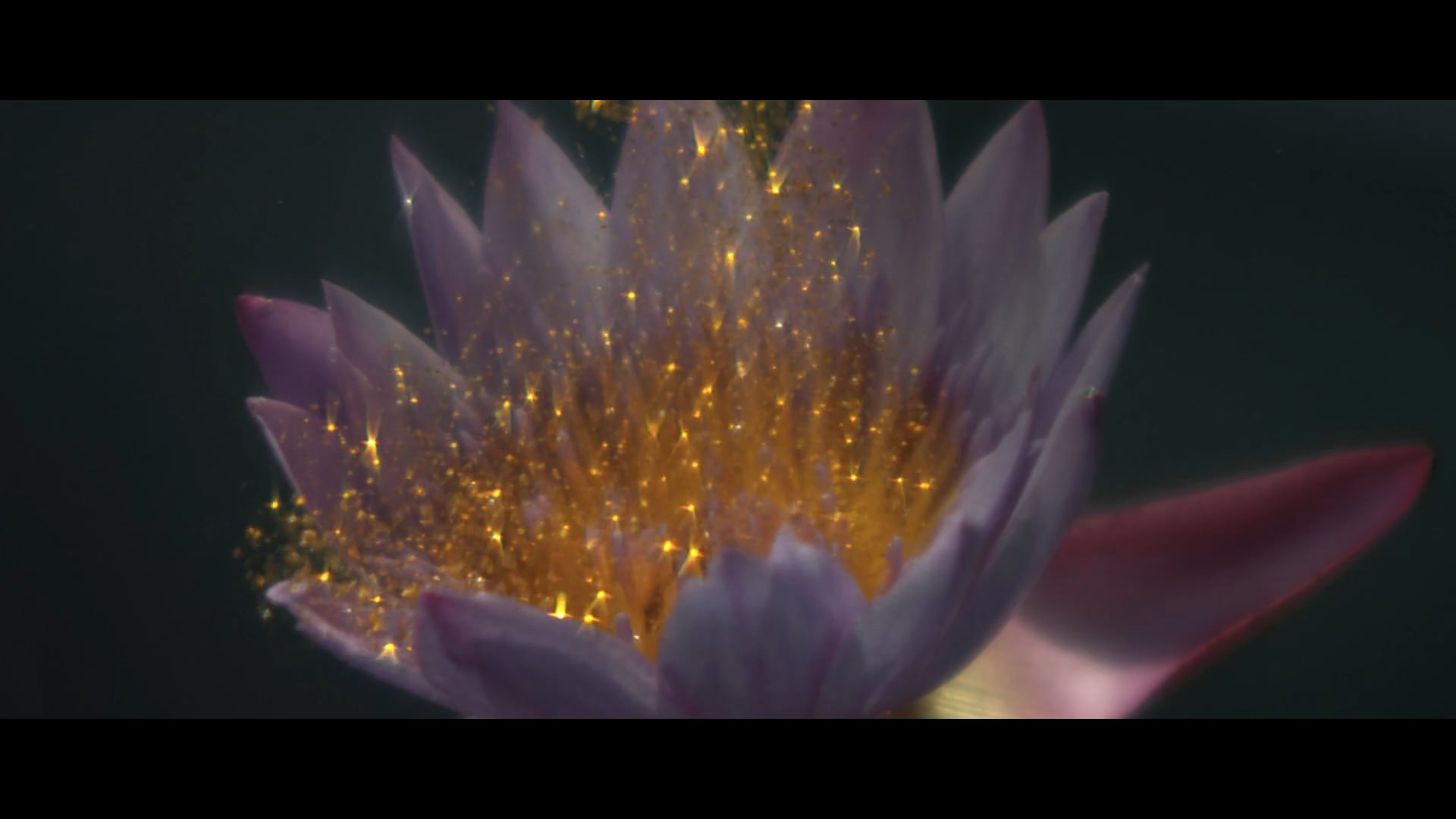 Yourmama | Ypê Perfumista | Carol Markowicz