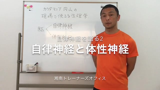 自律神経を語る2自律神経と体性神経