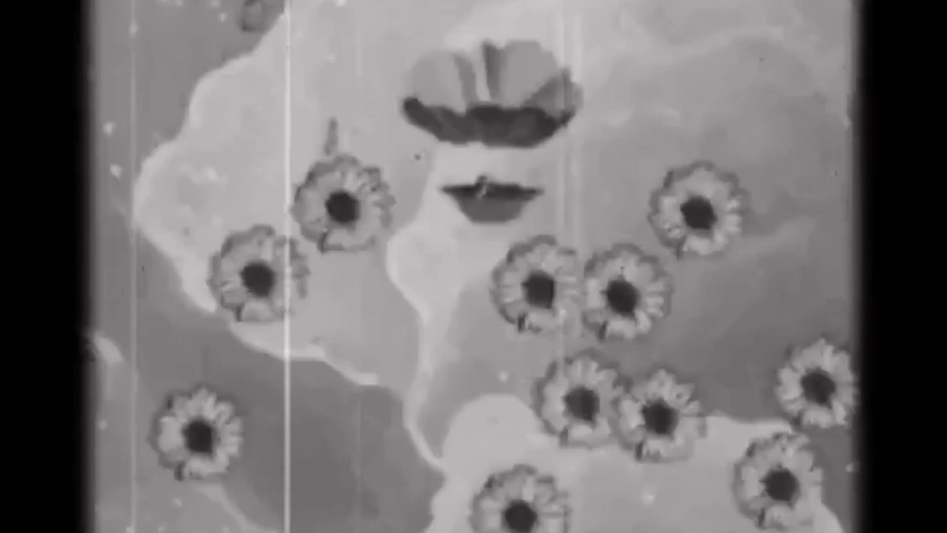 THE FLOWER IN DECEMBER