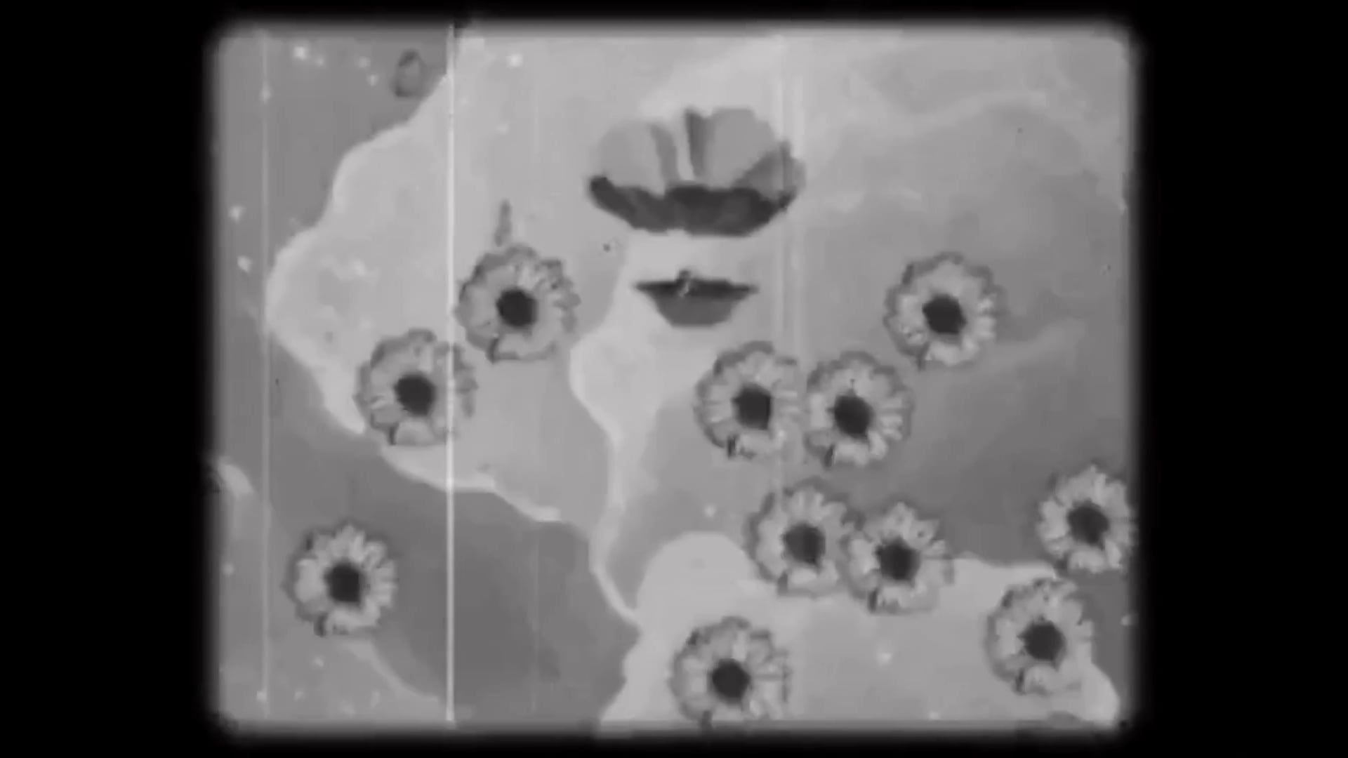 THE FLOWER IN DECEMBER