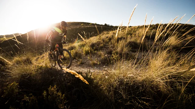 Solved Corey has a mountain bike worth $300, a credit card