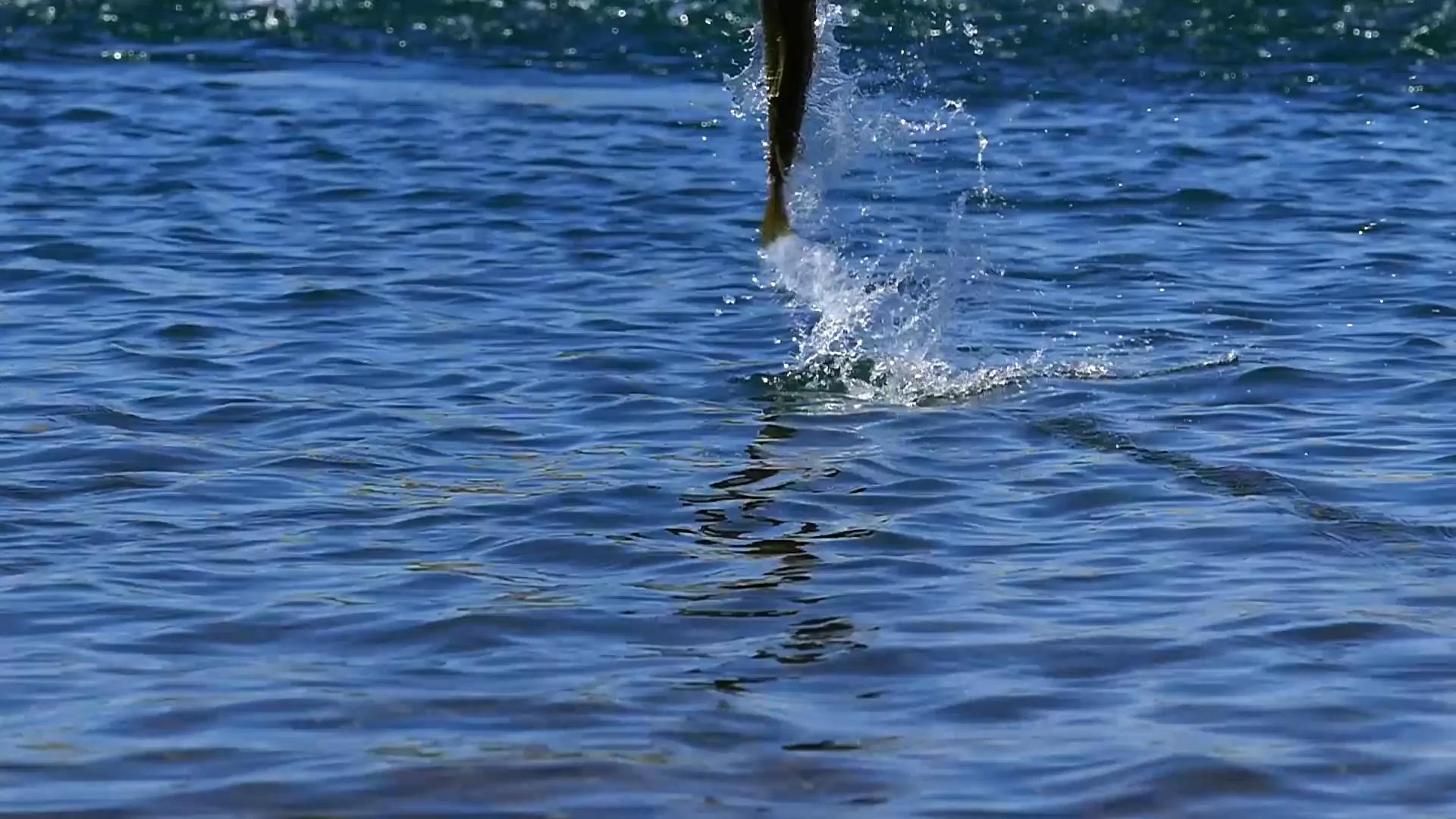 Set! on Vimeo