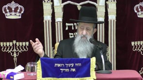 פרשת חקת סודאי תמוז תשעט