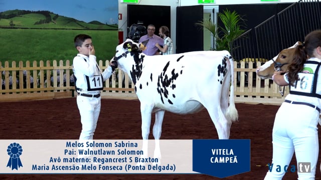 Xata campiona