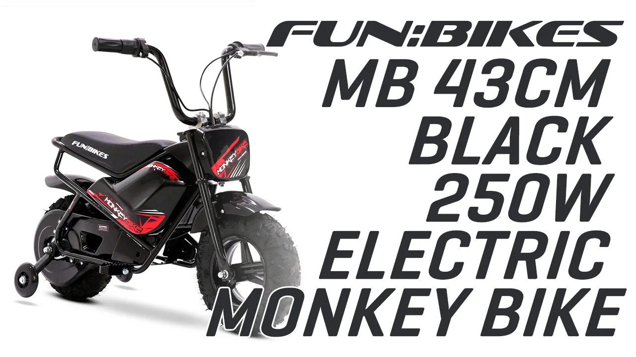 250w deals monkey bike