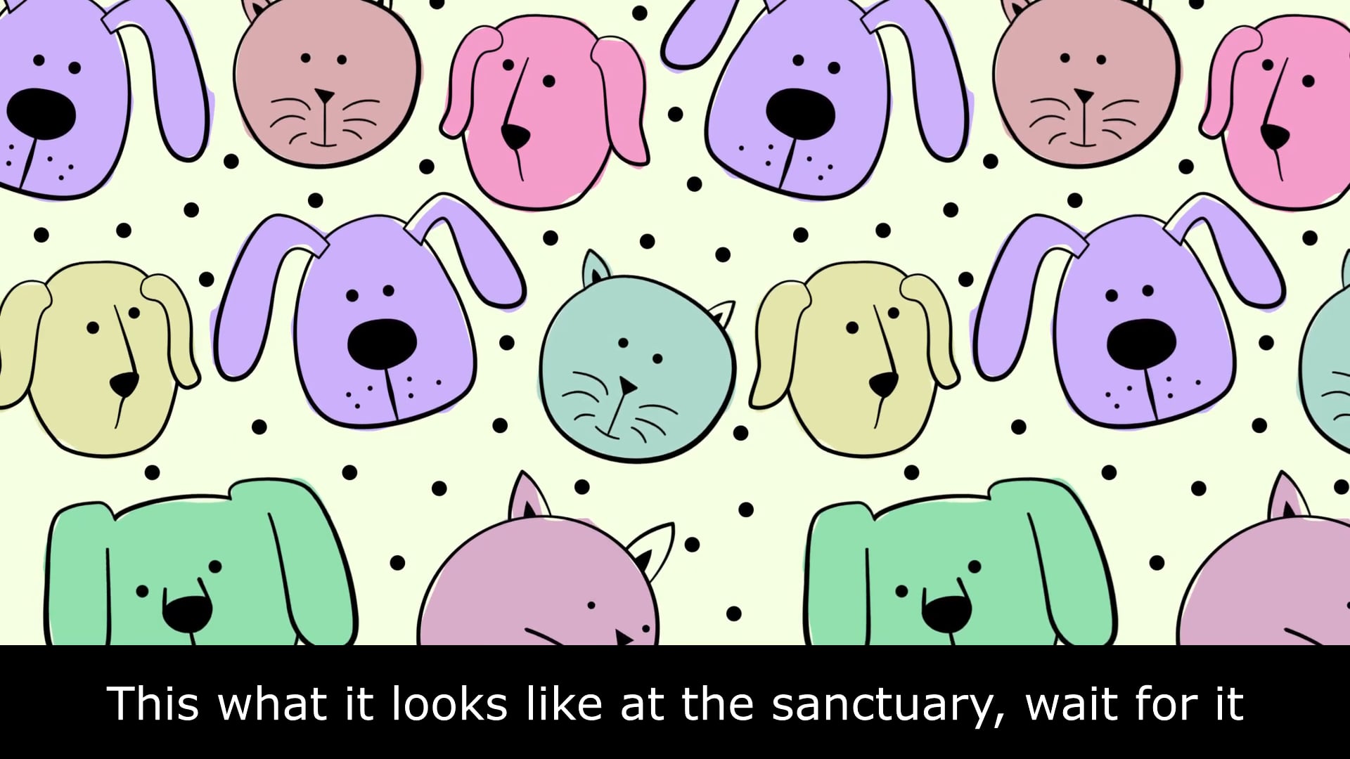 Grateful Acres Pets Sanctuary and Adoption video