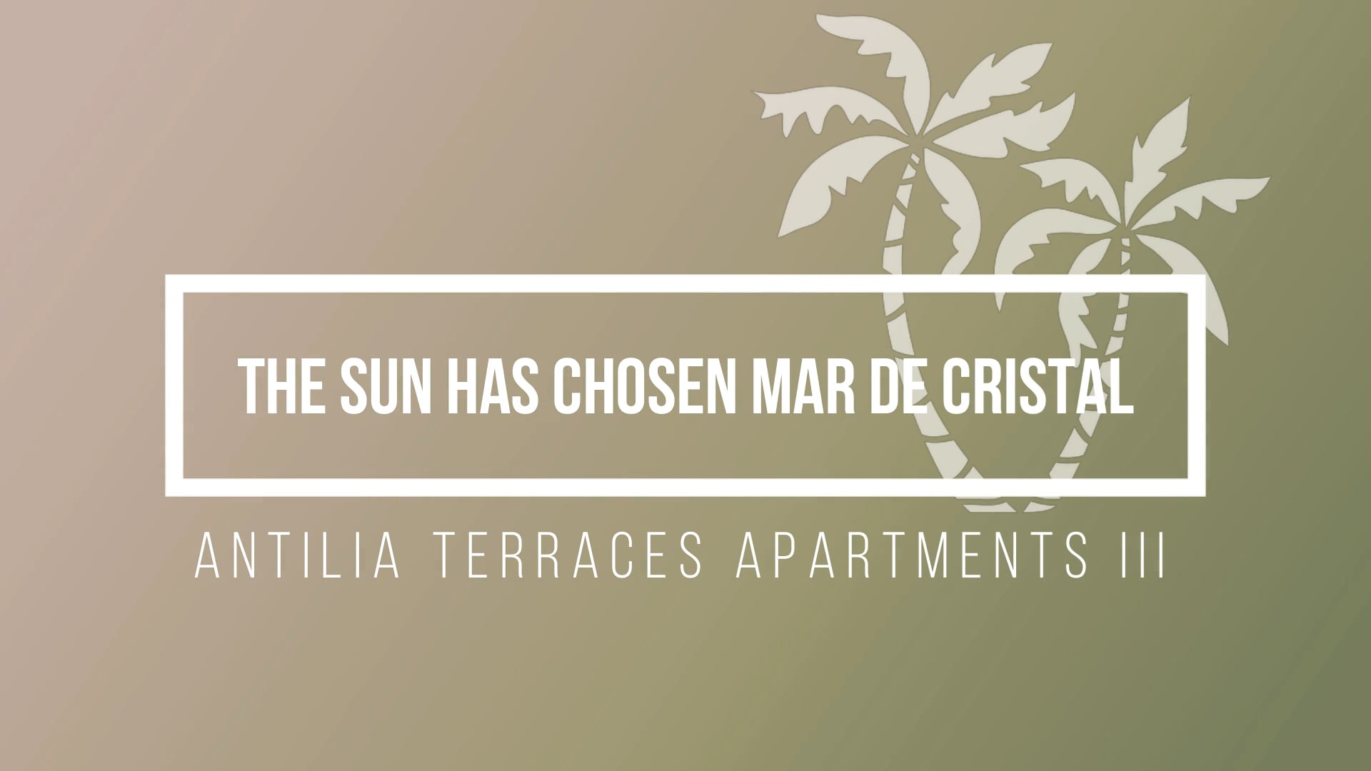 ANTILIA III __ THE SUN HAS CHOSEN MAR DE CRISTAL