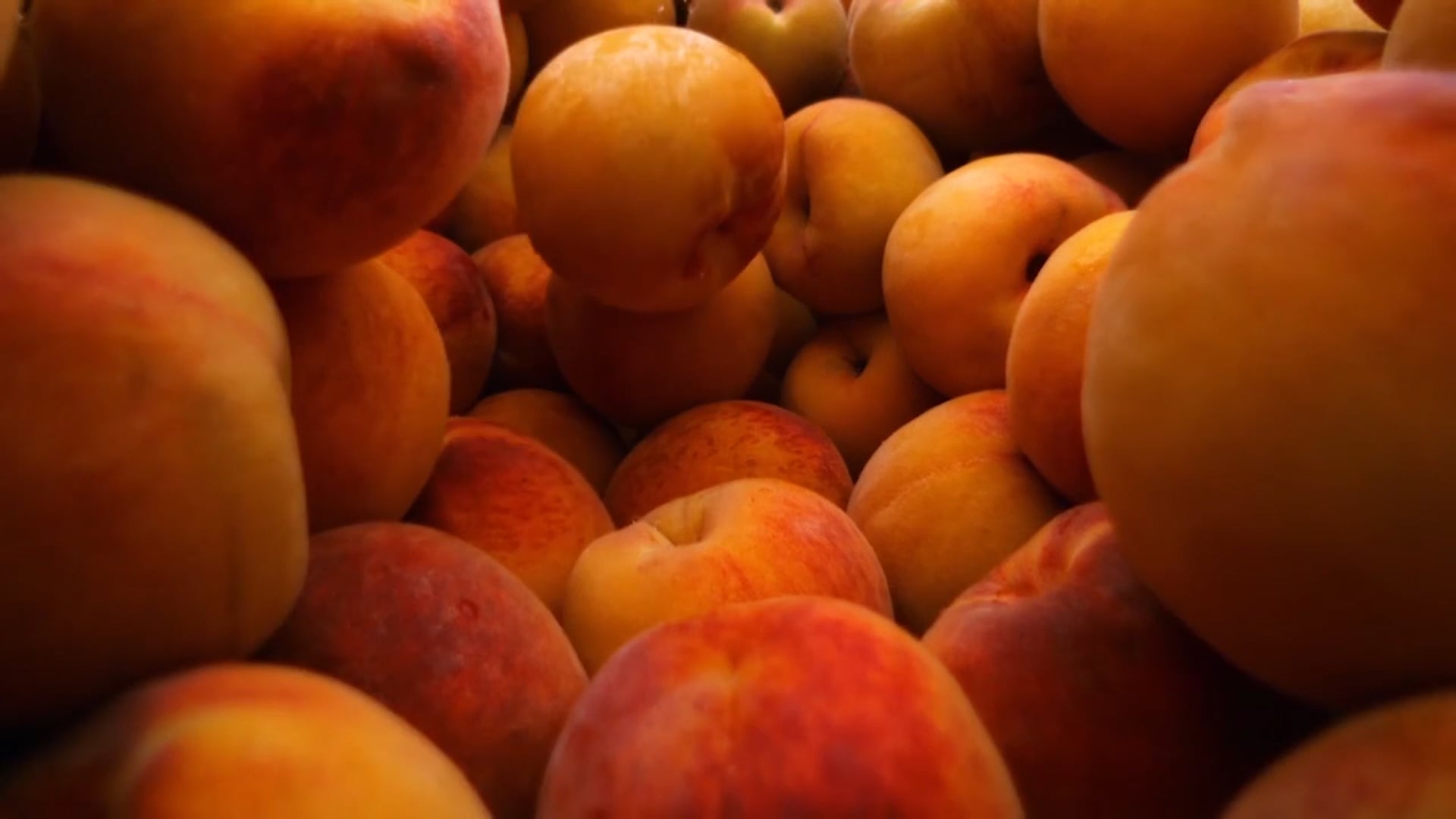 Colanta Nueva Imagen