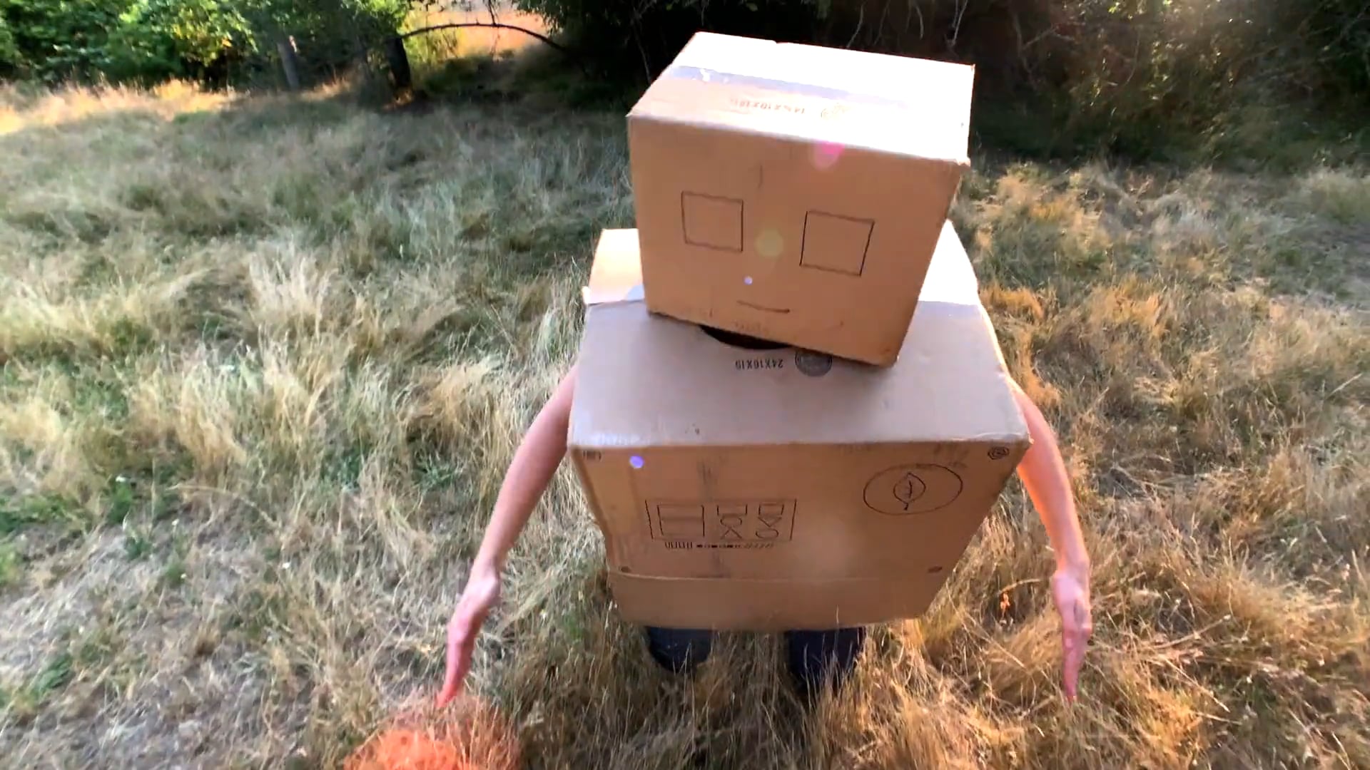 The Robotanist's Day Out (Camera Test)