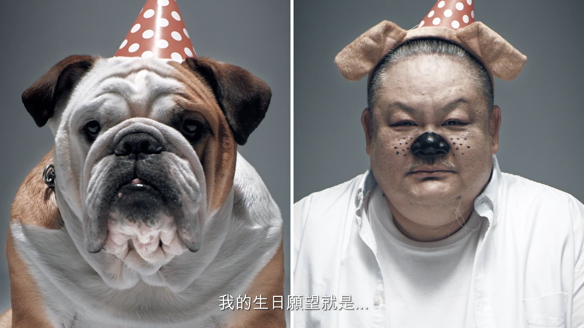 【Pet Neutriland 狗狗的使命】林雪與狗狗篇