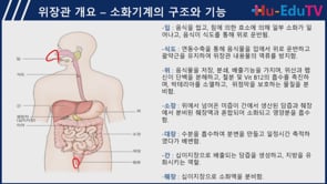 장은정 - 소화기 질환과 영양요법