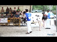 Mejor criador de novillas