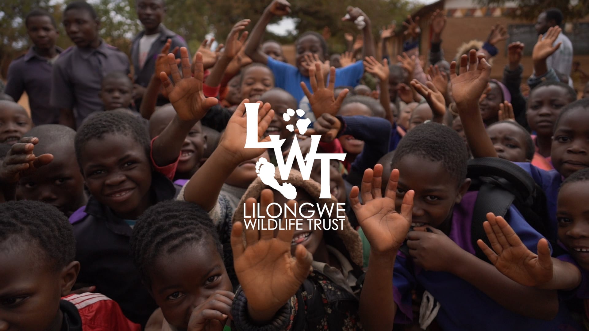 Lilongwe Wildlife Trust: Environmental Education for the Future of Malawi