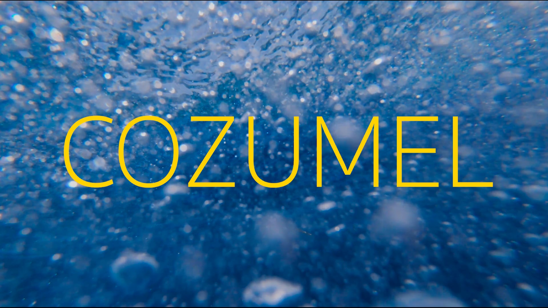 Cozumel Dive Trip