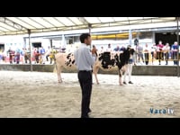 Novilla gran campeona