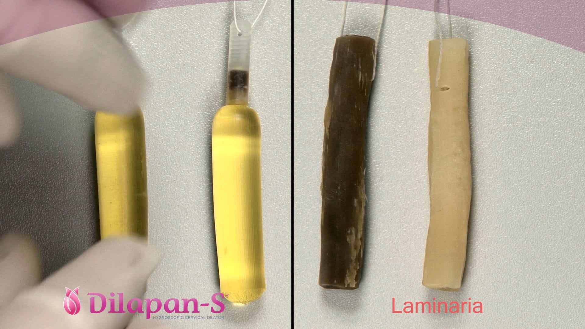 DilapanS mechanical osmotic dilator vs Laminaria tents on Vimeo