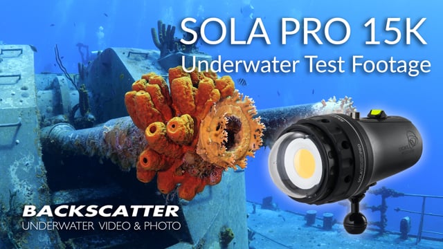 Light & Motion Sola Pro 15K | Underwater Test Footage | Little Cayman 2019