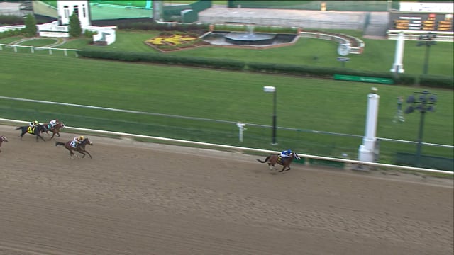 Mr. Money | 2019 Matt Winn S. (G3) 